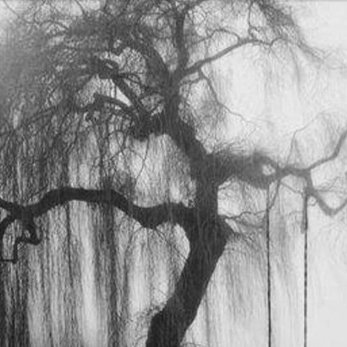 my beloved, emptiness.