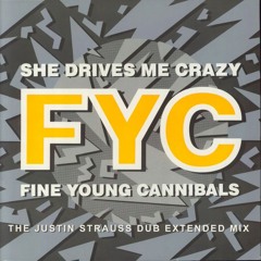Fine Young Cannibals - She Drives Me Crazy (The Justin Strauss Dub Extended Mix)