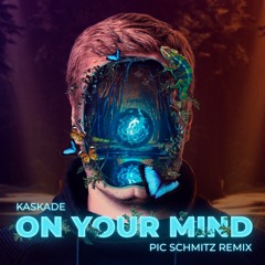 Kaskade - On Your Mind (Pic Schmitz Remix)