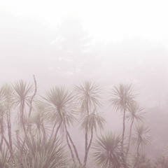 Even the fields have a morning (naviarhaiku412)