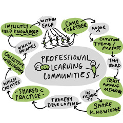 PLC is the Place to Be, or the Story of One Professional Learning Community