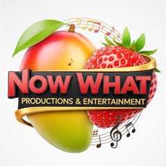 Ammunition - Now What
