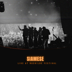 Holy (Live At Roskilde Festival)