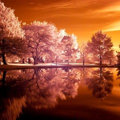 Ambient Vibes