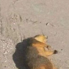noooi i didnt took the pill i had to