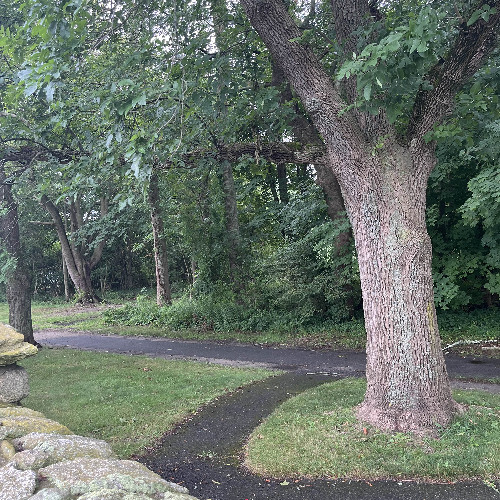 we could go anywhere you want (prod. tinyforest)