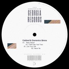 Celdred & Domenico Brena - Noise Report [A1]