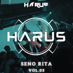 SENO RITA VOL.03 - DJ HARUS
