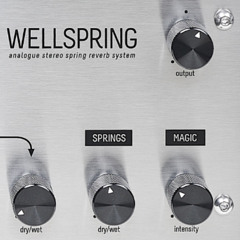 [Wellspring] Vocal Female DelayVerb