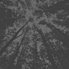 野心的な隠者 Aspiring Hermit