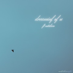 dreaming of u ft notahero (under the maple tree)