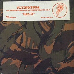 Flying Pupa :: Can It