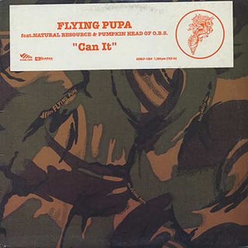【おまけ付】 Stream Flying Pupa :: Can It by :: DiggindergrounD 洋楽