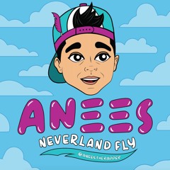 neverland fly