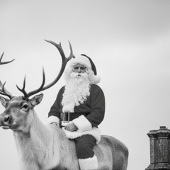 the man on the reindeer