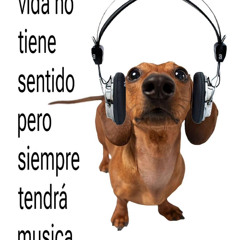 noxe BB