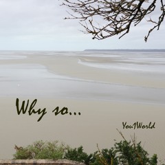 You1World - Why so...