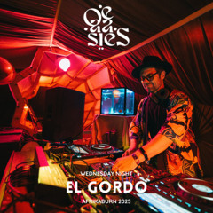 El Gordo - OE-AA-SIES - Wednesday Night @ Afrikaburn 2025