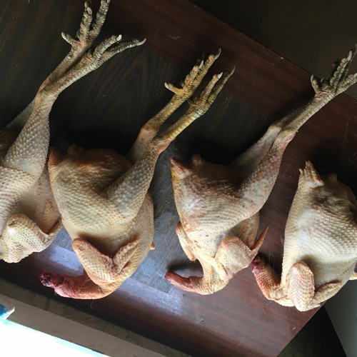 Фонтанчик с дельфином (Adam Maniac & Imanbek Remix)