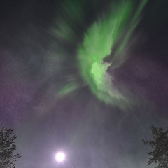 Vulpine's Flare