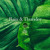 Artwork for ASMR Rain & Thunder