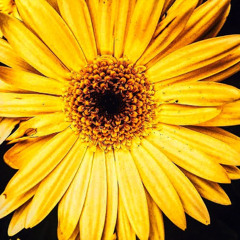 Maps - Instrumental Groove