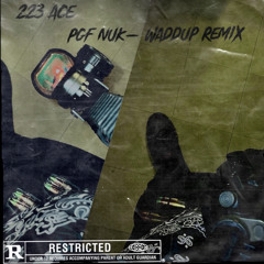 223_Ace - Pgf Nuk Waddup Remix Prod. By FATMANBEATS 2.m4a
