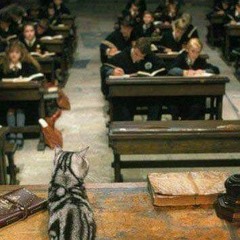 Shift to Hogwarts subliminal (WARNING EXTREMELY POWERFUL)