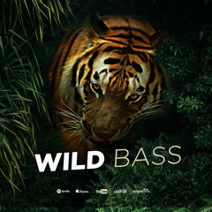 Wild Bass (Original Mix)