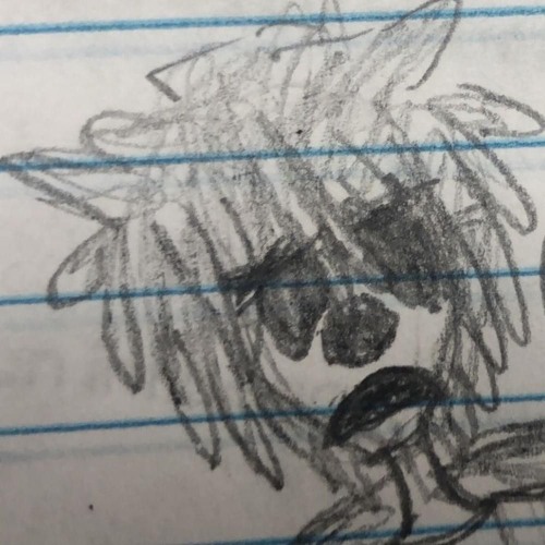 y6