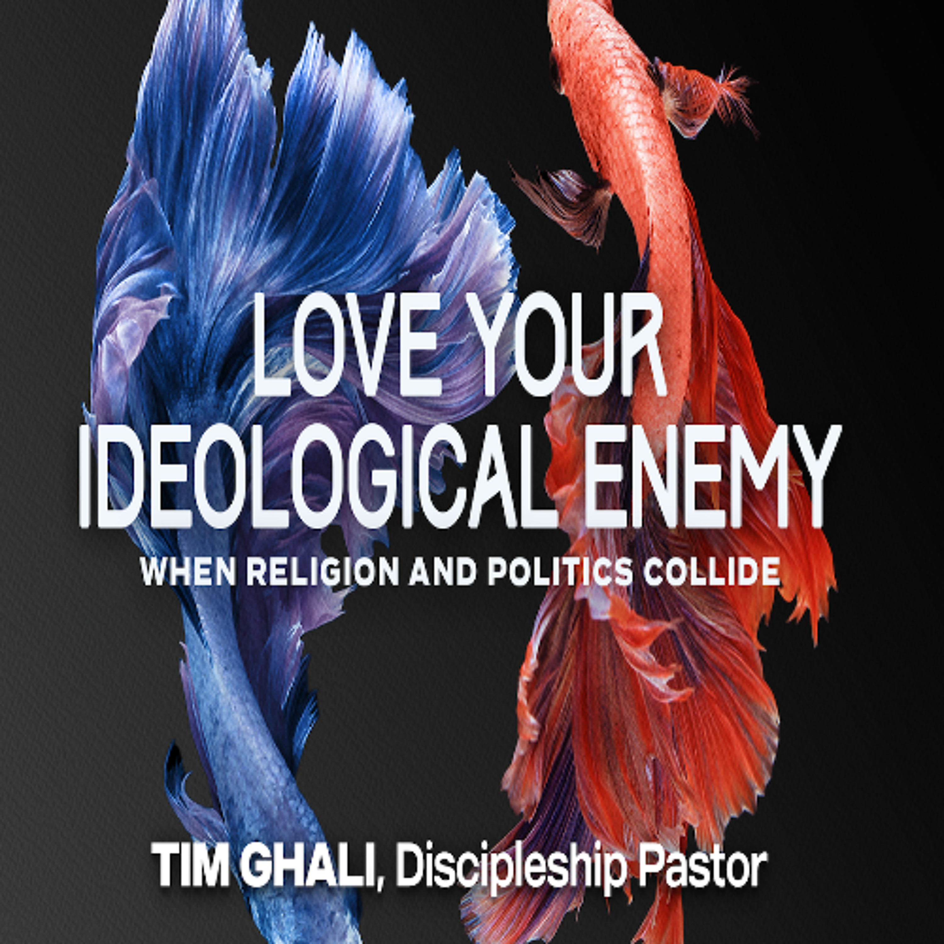 December 29, 2024 Loving Your (Ideological) Enemy | Matthew 5:38-48 episode artwork