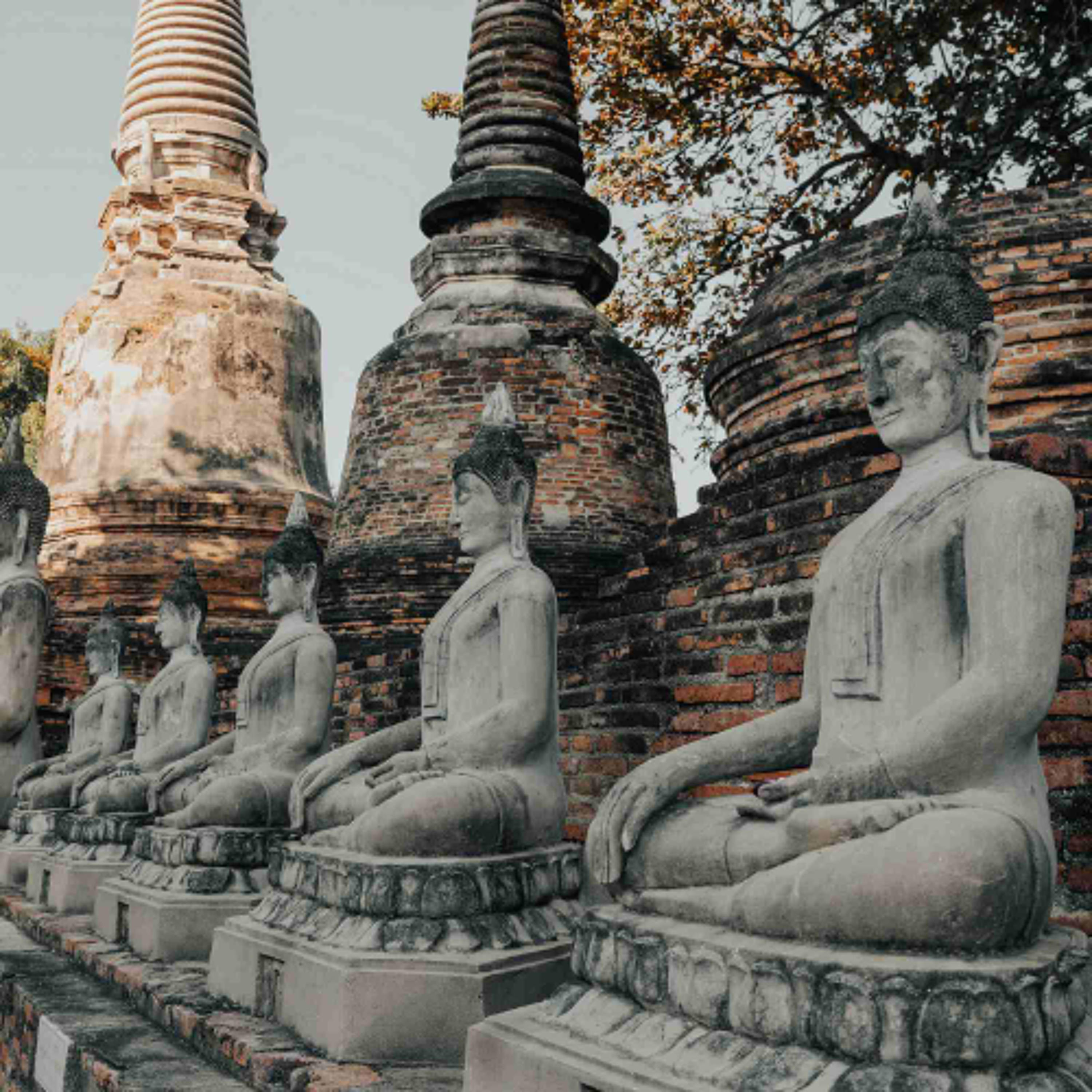 Ep. 534 Riflessioni sull'Ignoranza