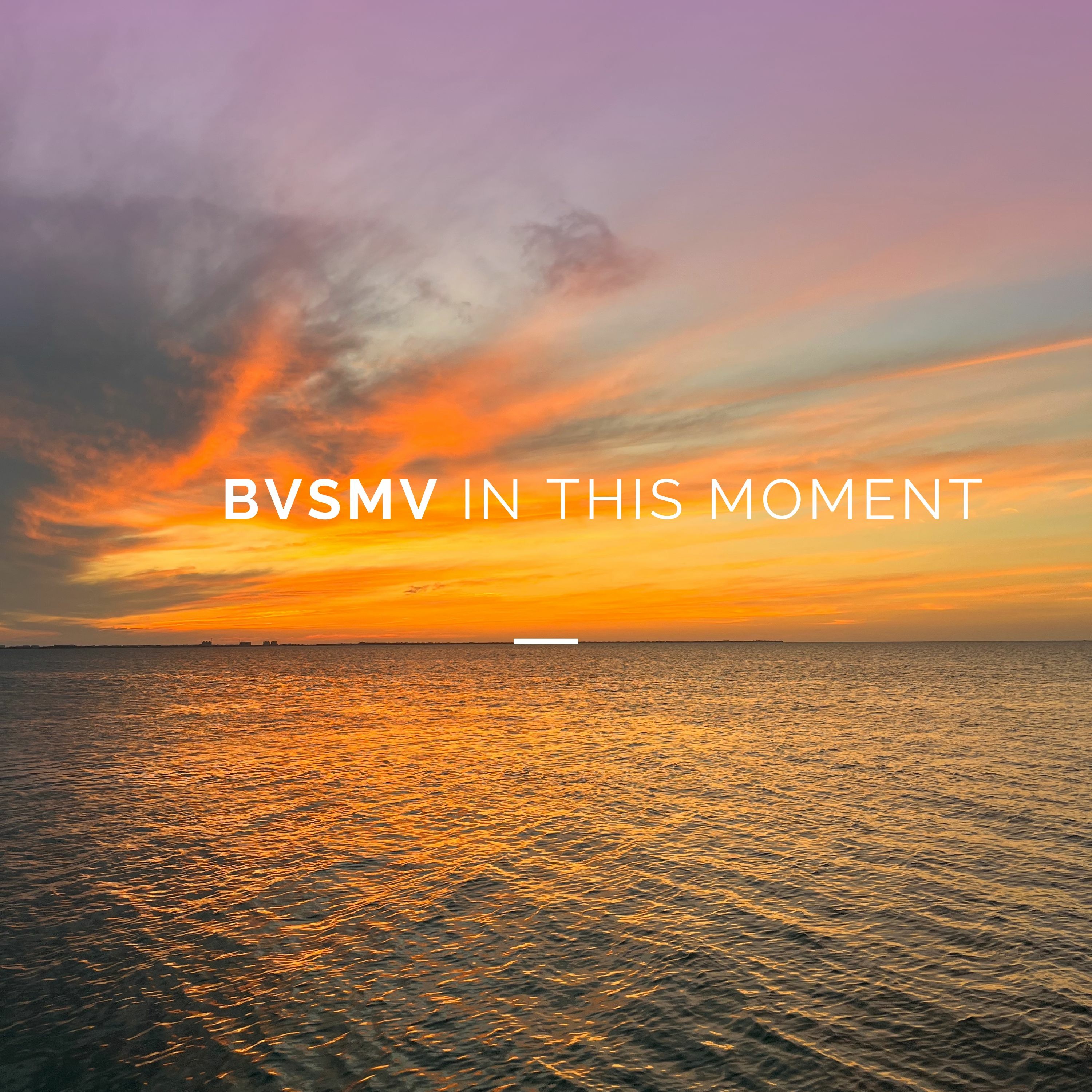BVSMV