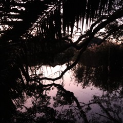 Light Arrives Slowly — Opening Set. SASH by Day (Sydney)