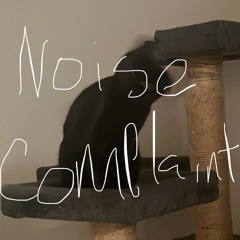 noise complaint