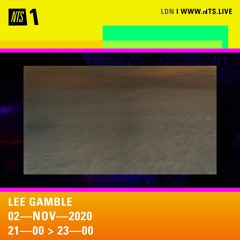 Lee Gamble NOV NTS 2020