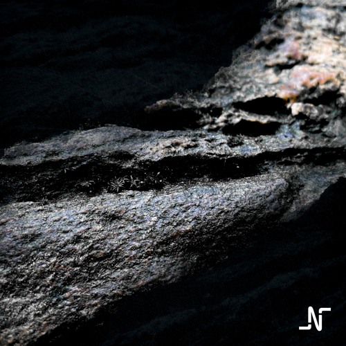 Morgendug (Memory Extracts Volume 1)