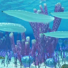 The Cambrian Explosion