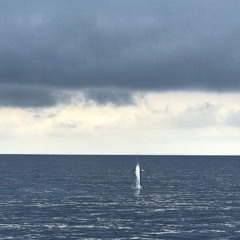 EL BULLIT SONICO 025 with Joe Morris & Luca Averna