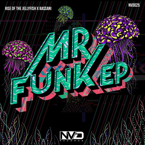 Rise of the Jellyfish & Bassani - Mr. Funk (Original Mix)
