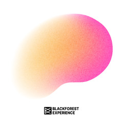 Black Forest Experience - In The Mix w/ Tim Peters - 28.11.25