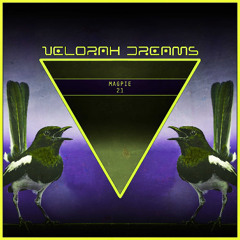 Magpie - 21 | ❗️ FREE DOWNLOAD ❗️