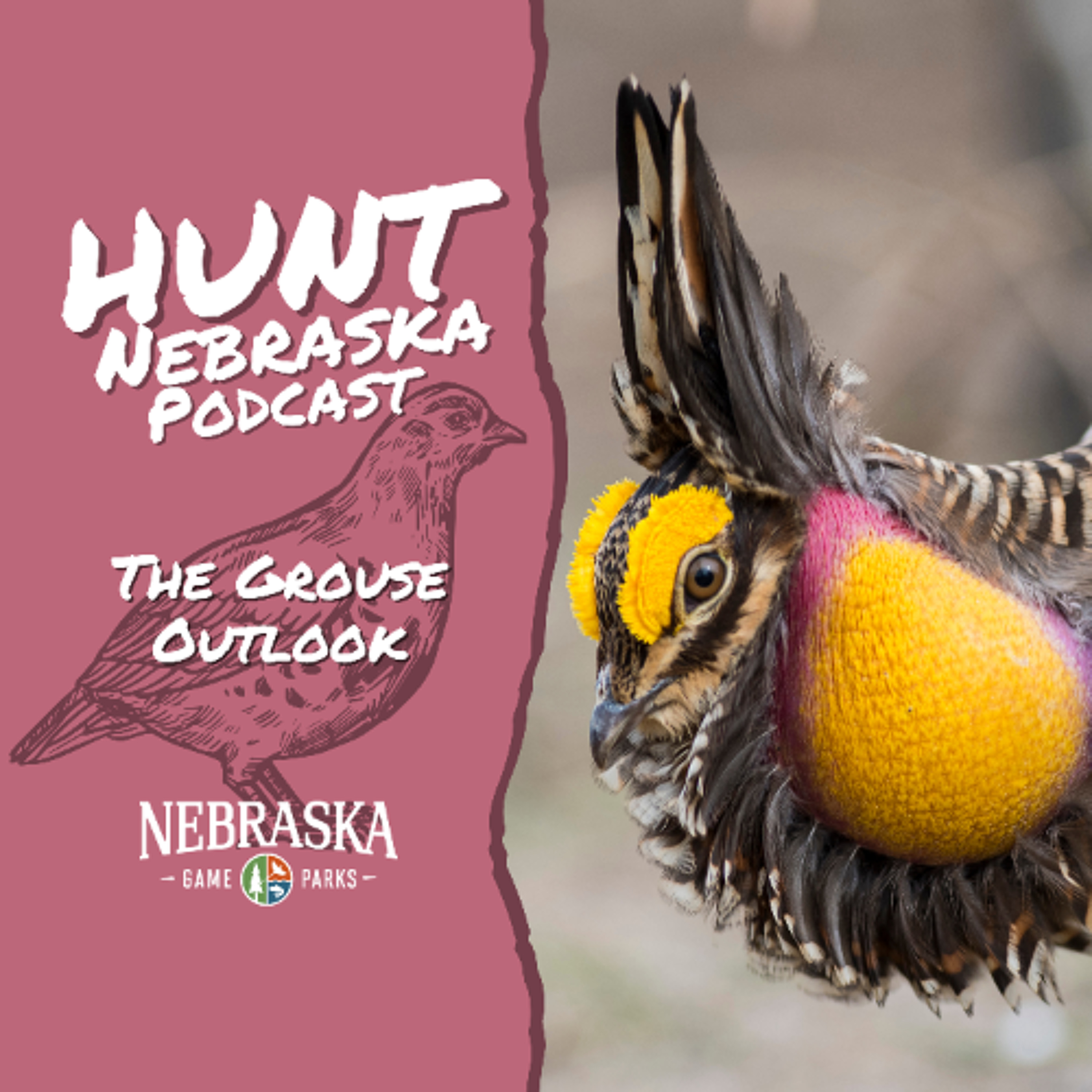 The Grouse Outlook