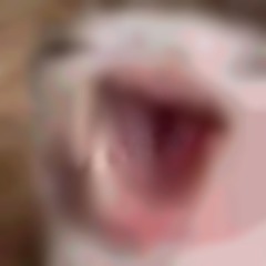 subject_1_widemouththing_is_making_music