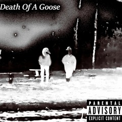 DEATH OF A GOOSE