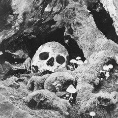 GET EM GVNG (153bpm)DJWaveGVWD