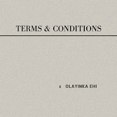 TERMS AND CONDITIONS