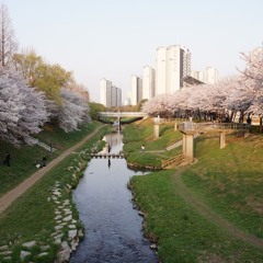 21/22 코로나 시절 서투르게 만들었던 부천 주다방x공슈x부평밤밤 edm모음