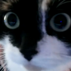 Slood challenged me to make an ambient song but I failed