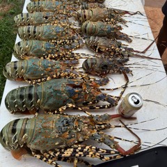 {Love your way} 2024 BEATZ